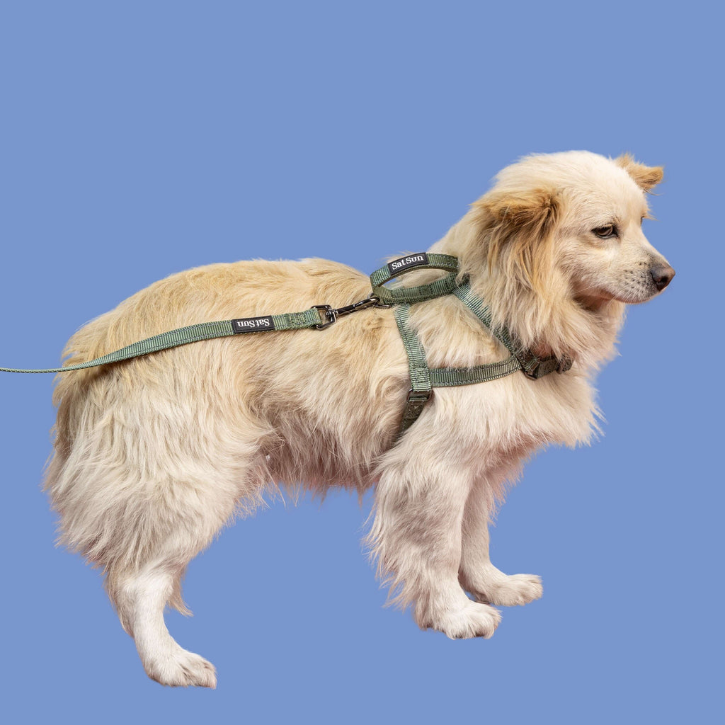 SatSunEasyFit Dog Harness And Leash Pack Small Size