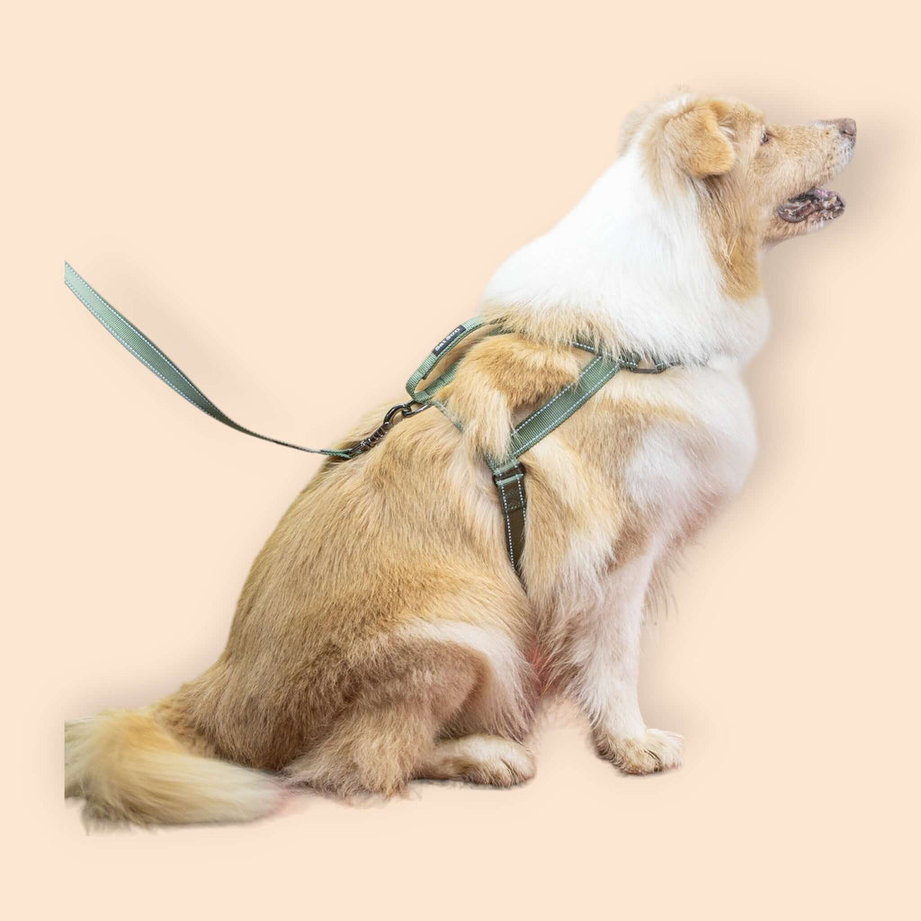 SatSunEasyFit™ Anti-Pulling Harness Extra Large