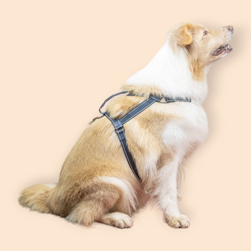 SatSunEasyFit™ Anti-Pulling Harness Extra Large