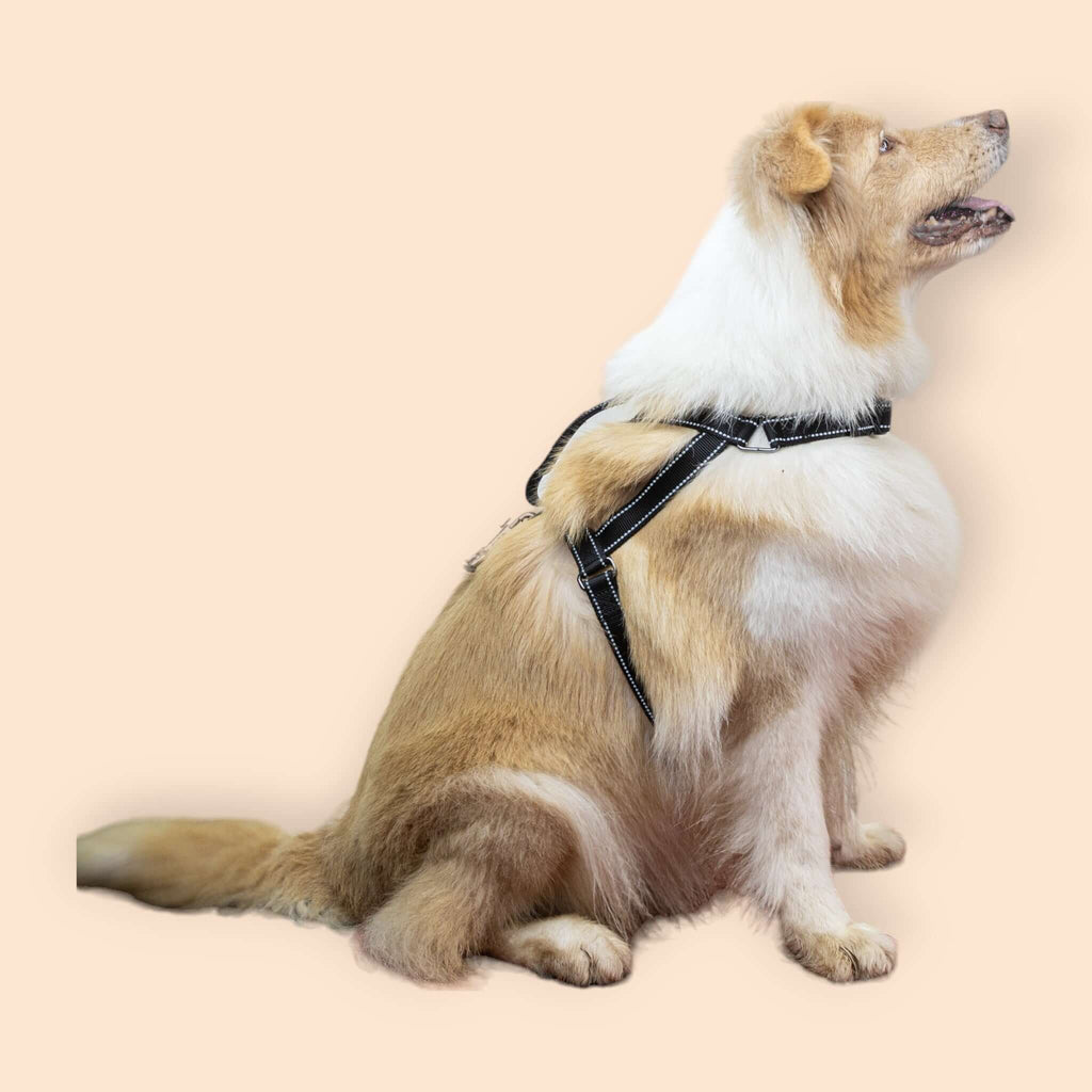 SatSunEasyFit™ Anti-Pulling Harness Extra Large