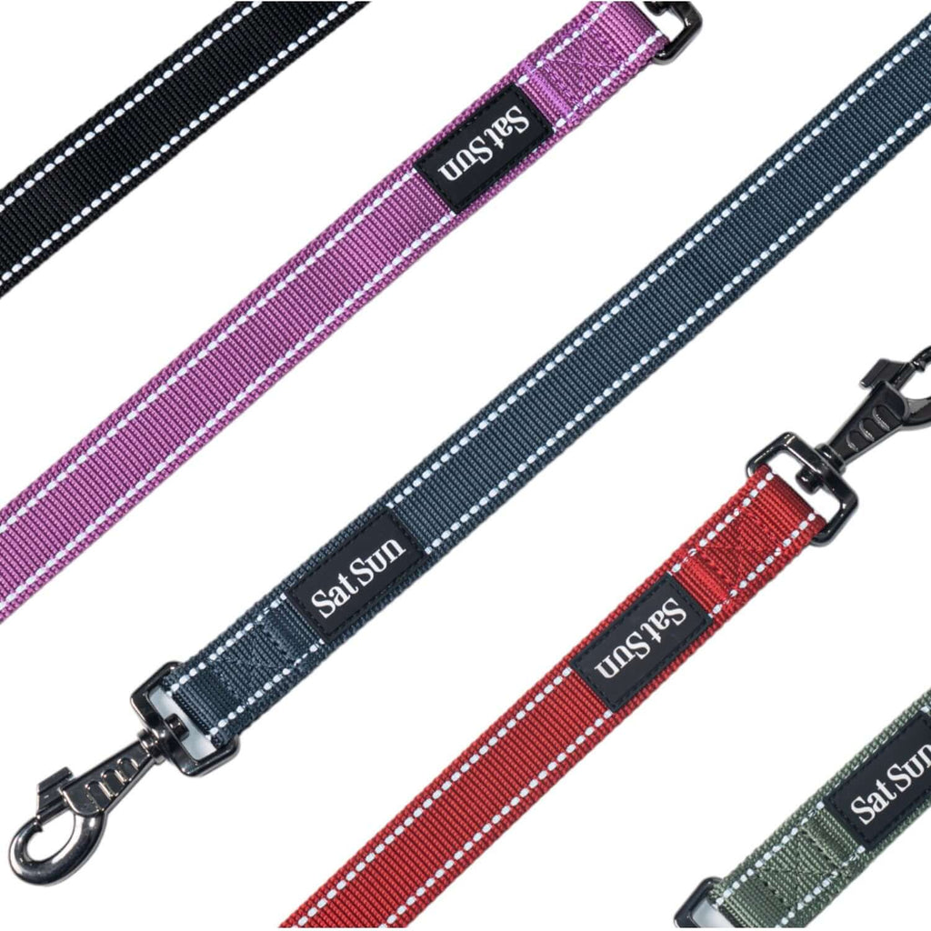 SatSunEasyFit™ Training Leash For Dogs